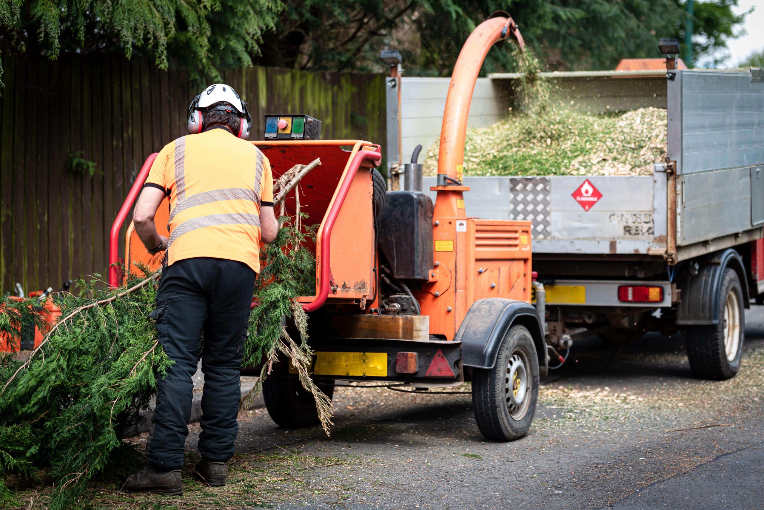 Tree Stump Grinding/Removal Walworth SE17